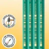 Bic Evolution Kumipainen Lyijykyna 4Kpl