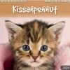 Burde Seinakalenteri 2024 Kissanpennut