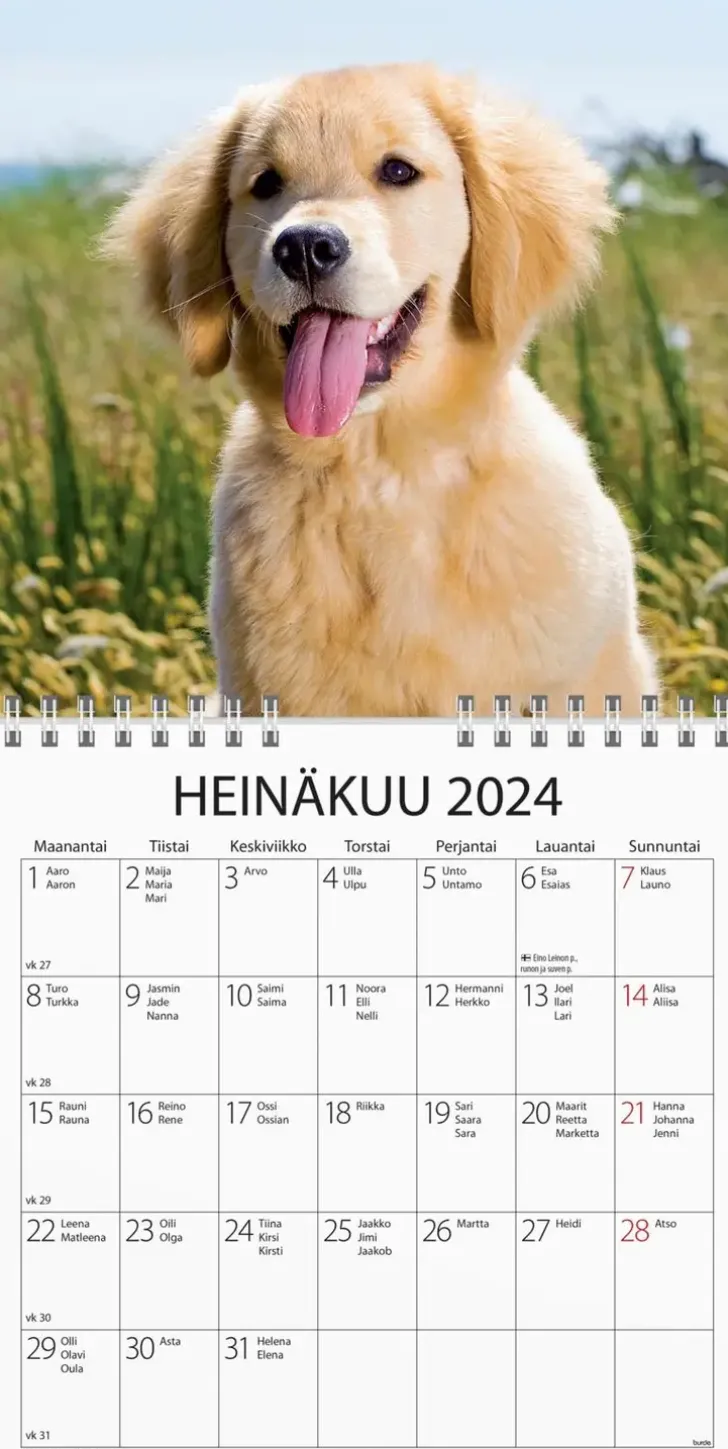 Burde Seinakalenteri 2024 Koiranpennut