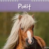 Burde Seinakalenteri 2024 Ponit