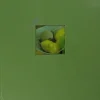 Goldbuch Colore Valokuva-Albumi Lajitelma