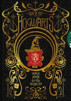 Harry Potter Onnenpyora Kierremuistikirja