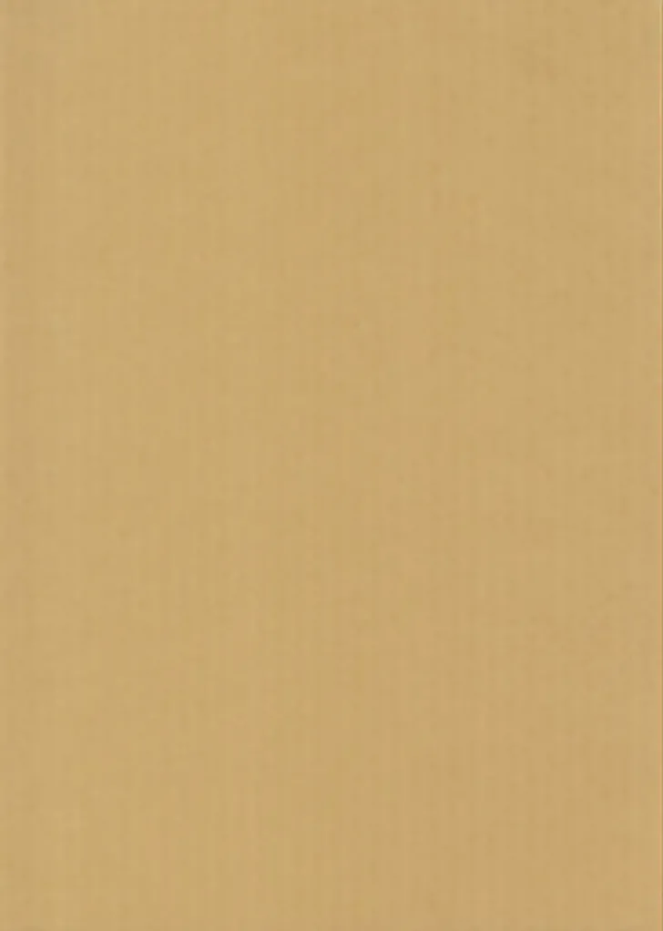 Karto Kartonki Beige 50X70Cm 220Gsm 5Ark/Pss
