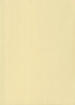 Karto Kartonki Oljenkeltainen 50X70Cm 220Gsm 5Ark/Pss