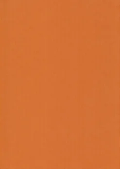 Karto Kartonki Oranssi 50X70Cm 220Gsm 5Ark/Pss