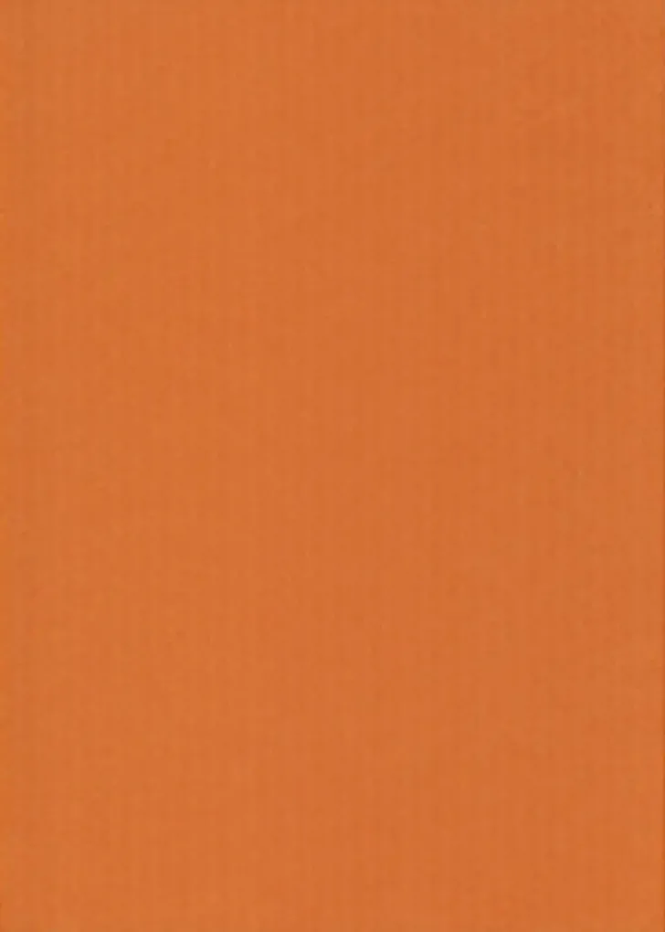Karto Kartonki Oranssi 50X70Cm 220Gsm 5Ark/Pss